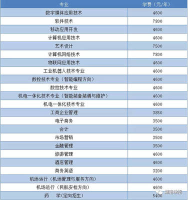 湖南省單招考試報(bào)考計(jì)算機(jī)、軟件類專業(yè)院校與重點(diǎn)推薦—聚焦技術(shù)開發(fā)與銷售